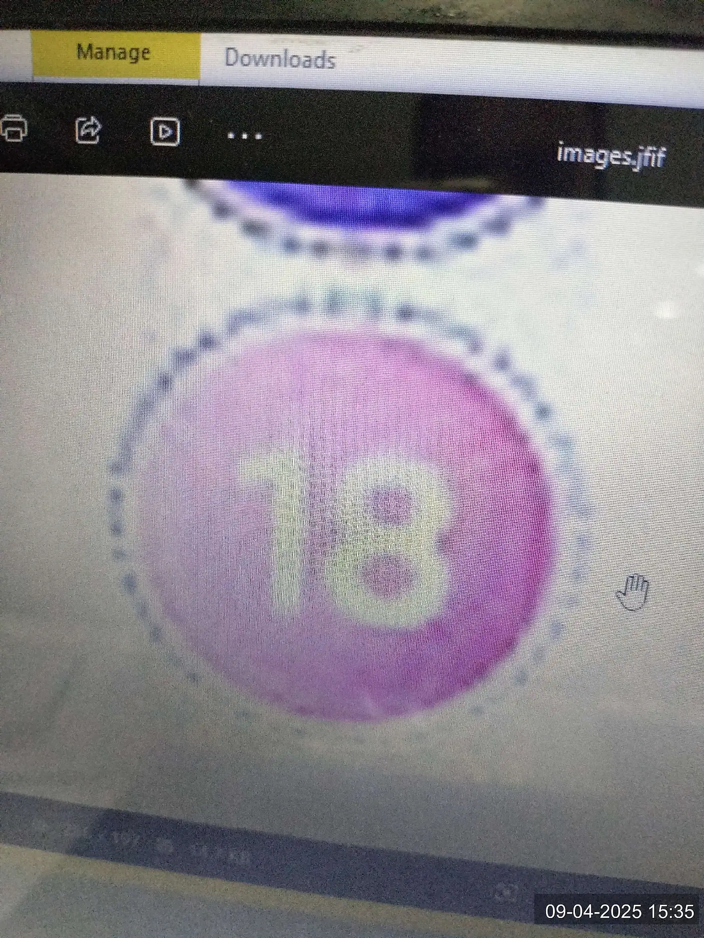 Rupali test user